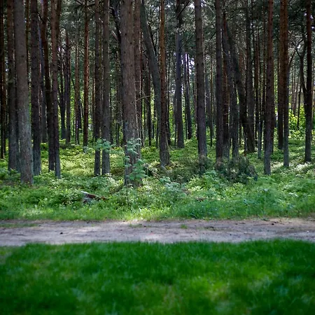 Camping Domek 2 *